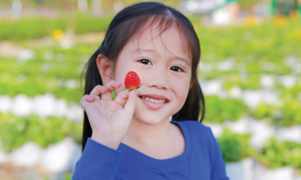 The Happy Farm: Igniting the flame of knowledge in children