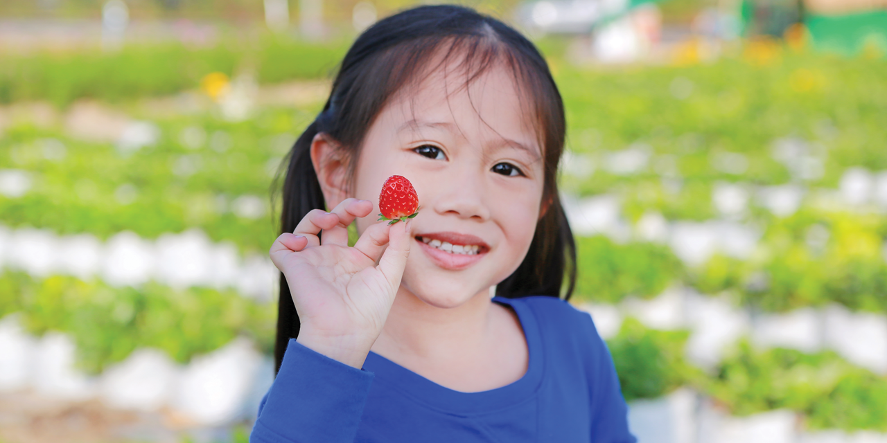 The Happy Farm: Igniting the flame of knowledge in children