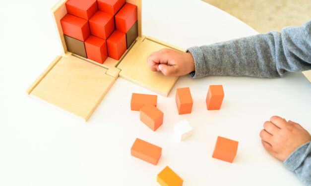 Missing pieces in math education