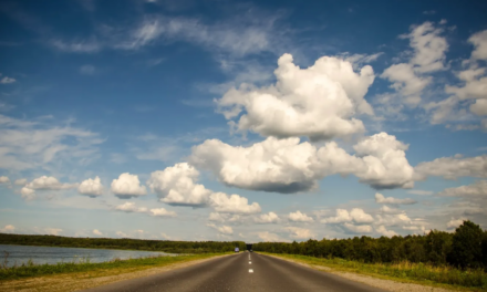 Covering choice in the Trump 2.0 era