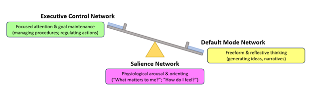 The image shows a diagram of three interconnected brain networks illustrated as colored text boxes connected by lines. From top to bottom: "Executive Control Network" (green box): Described as "Focused attention & goal maintenance (managing procedures, regulating actions)" "Default Mode Network" (yellow box on right): Described as "Freeform & reflective thinking (generating ideas, narratives)" "Salience Network" (pink box at bottom): Described as "Physiological arousal & orienting ('What matters to me?', 'How do I feel?')" The three networks are connected by gray lines forming a triangular relationship, with the Salience Network positioned at the bottom center, the Executive Control Network at the top left, and the Default Mode Network at the top right.