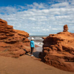 Surviving observation island