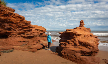 Surviving observation island