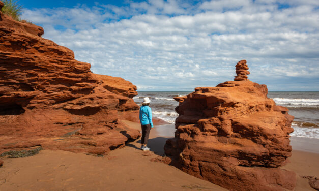 Surviving observation island