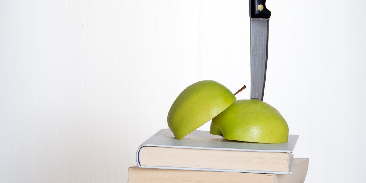 Prioritizing programs during budget cuts